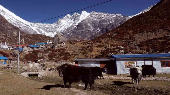 Image 2 of 8