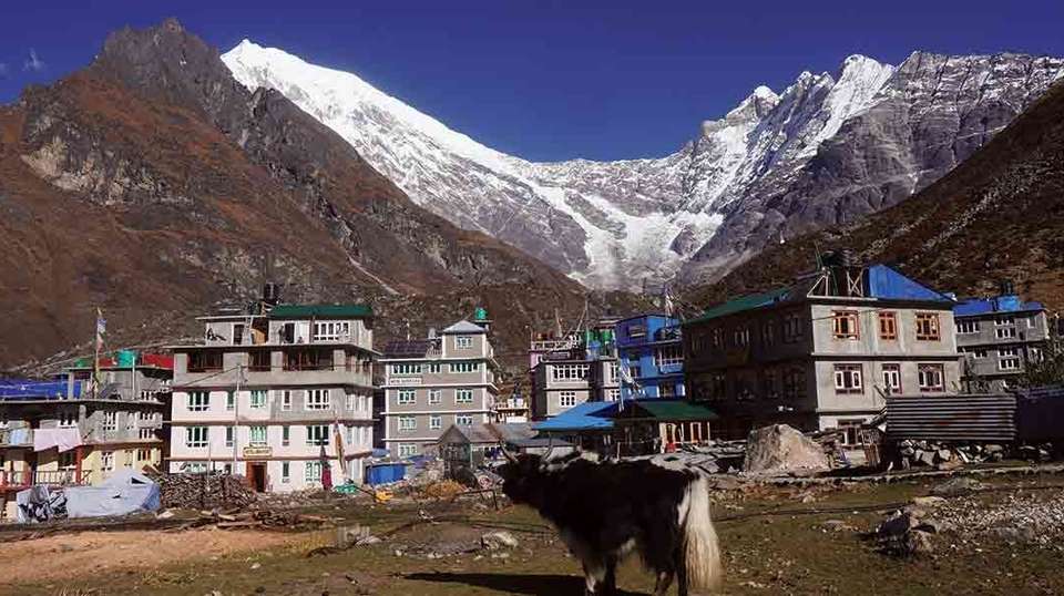 Langtang Valley Trek - Mount Adventure Holidays - Nepal - Image 3