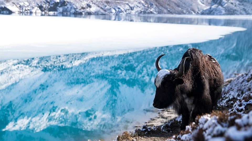 Gokyo Lake Trek - Mount Glory Treks And Expedition Pvt. Ltd. - Nepal - Image 3