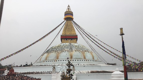 Image 2 of 9