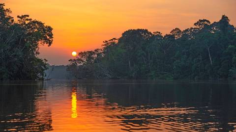 Eco Tour: Amazon Survival Experience