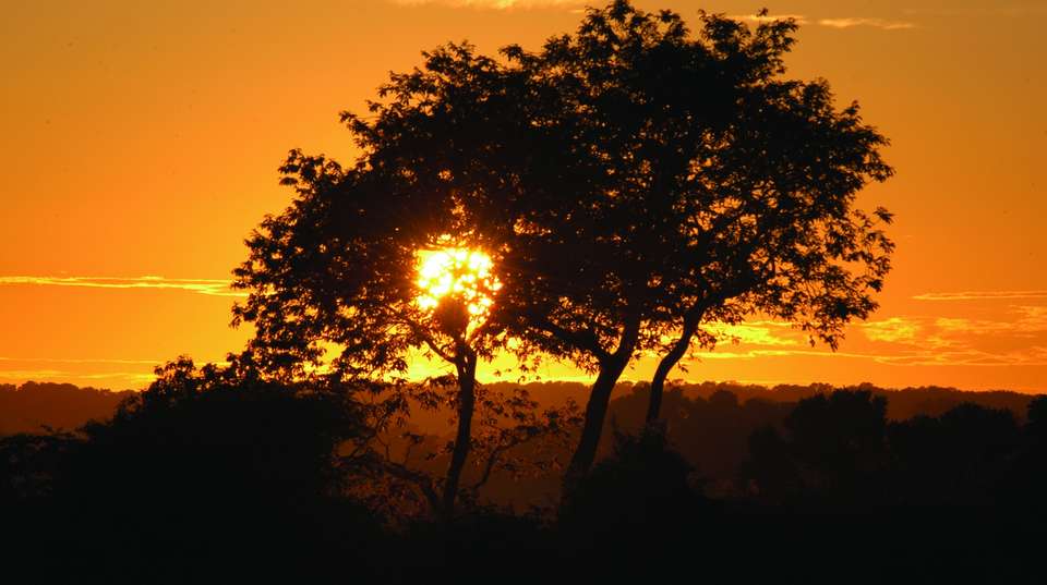Rio de Janeiro & Pantanal Wildlife - Nattrip - Brazil - Image 6