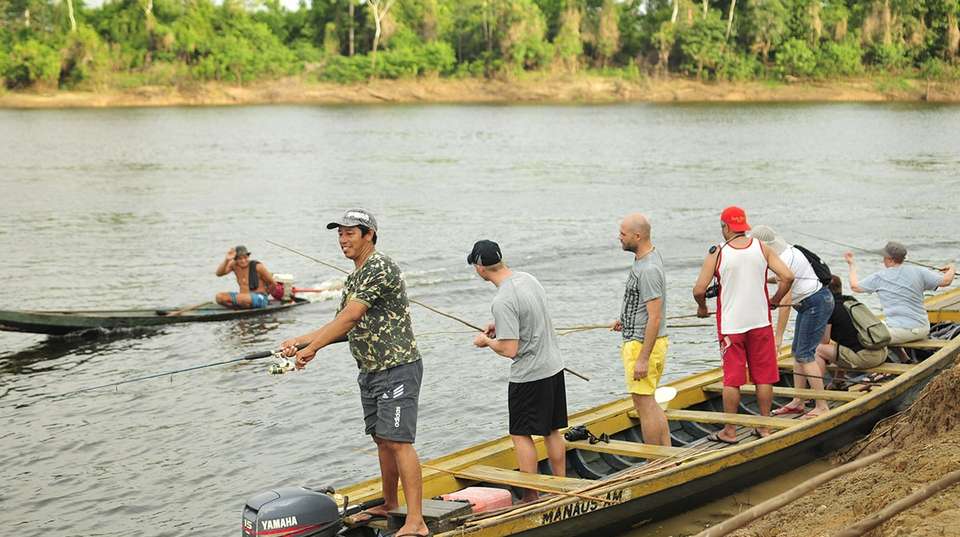 Pantanal & Amazon Wildlife - Nattrip - Brazil - Image 10