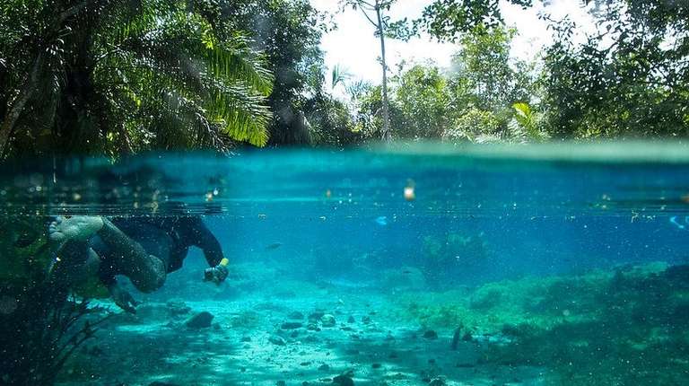 Bonito Experience trip - alternative tour available