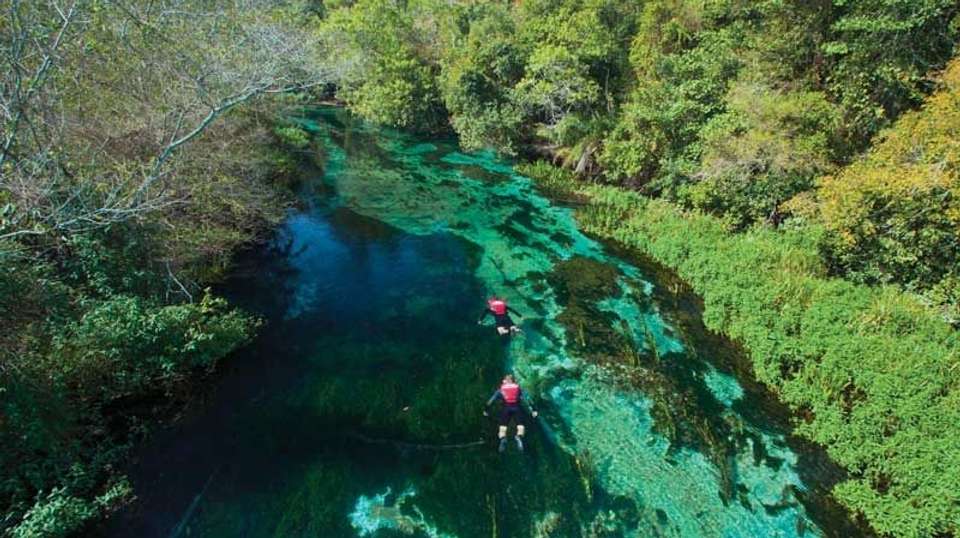 Bonito Experience - Nattrip - Brazil - Image 8