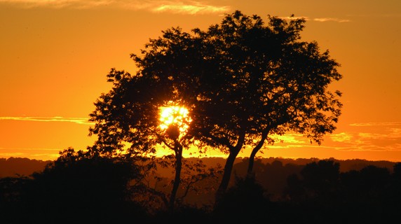 Image 5 of 7