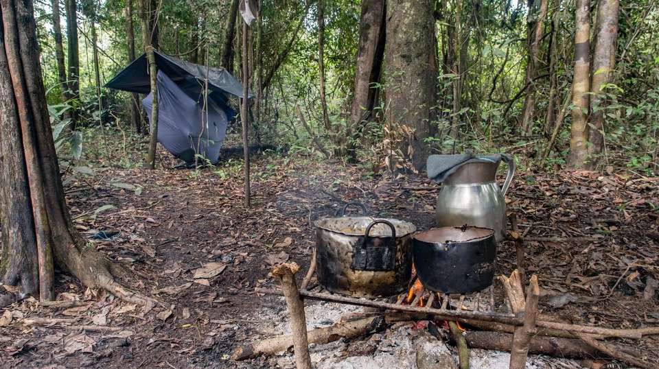 Amazon Survival Experience - Nattrip - Brazil - Image 2