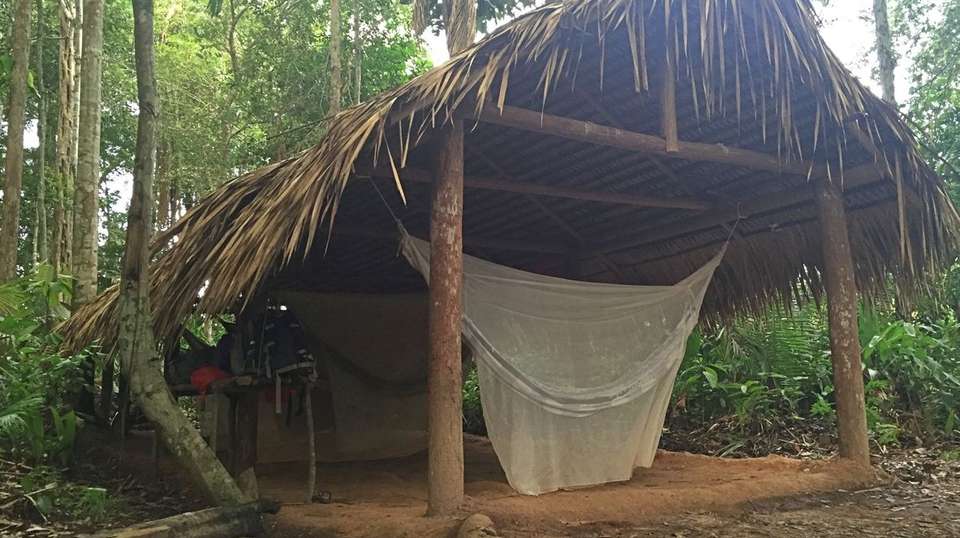 Amazon Survival Experience - Nattrip - Brazil - Image 4