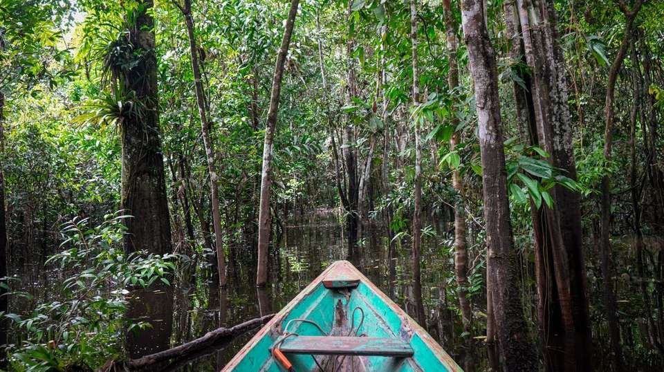 Amazon Survival Experience - Nattrip - Brazil - Image 6
