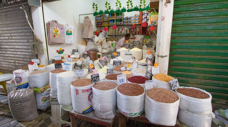 Rio de Janeiro & Salvador Cultural Experience - Nattrip - Brazil - Image 13
