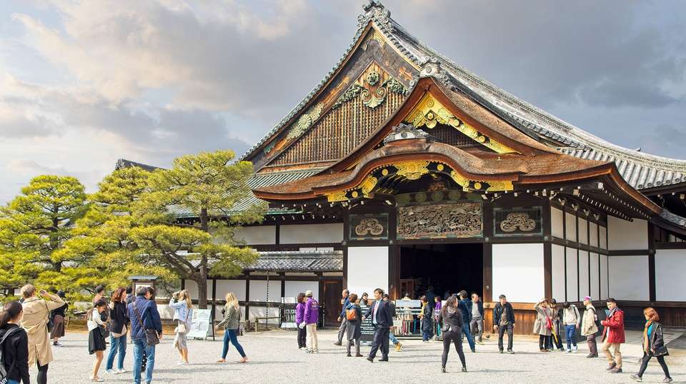 Japan Bound: Tokyo to Kyoto's Cherry Blossom Trail - undefined - Image 10