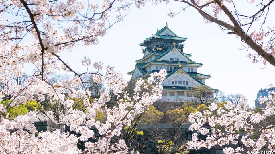 Japan Spring with Cherry Blossom(Mini Group) - undefined - Image 6