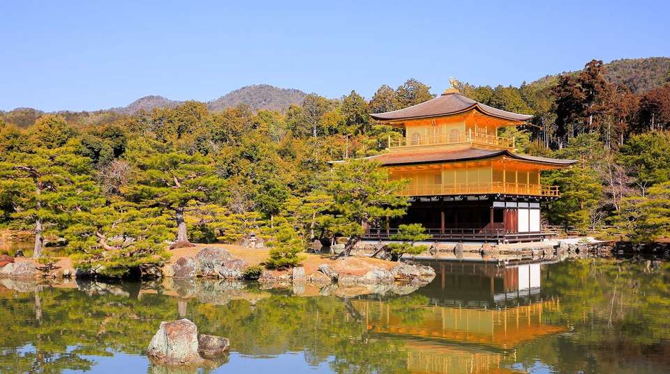 Japan Bound: Tokyo to Kyoto's Cherry Blossom Trail - undefined - Image 6