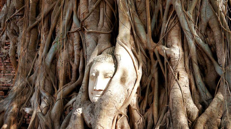 Discover the Cultural Treasures of Thailand and Laos - undefined - Image 7