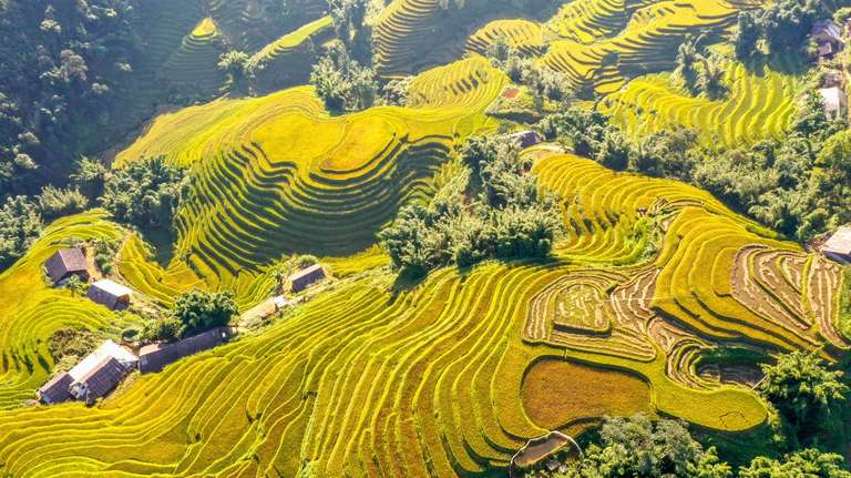 Vietnam Classic Odyssey: From Northern Mountains to South trip - alternative tour available