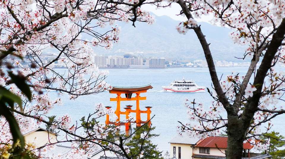 Japan Spring with Cherry Blossom(Mini Group) - undefined - Image 3
