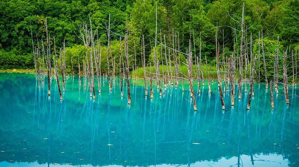 Japan Natural & Cultural Escape to Hokkaido - undefined - Image 6