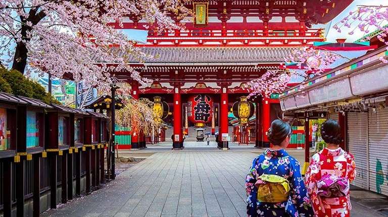 Japan Spring with Cherry Blossom(Mini Group) trip - alternative tour available