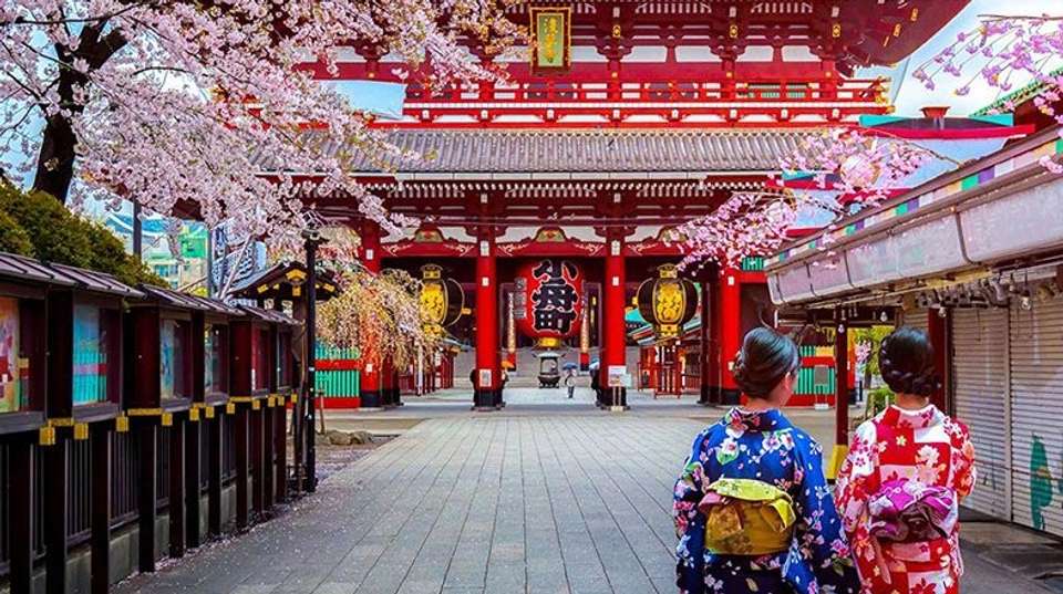 Japan Spring with Cherry Blossom(Mini Group) - undefined - Image 1
