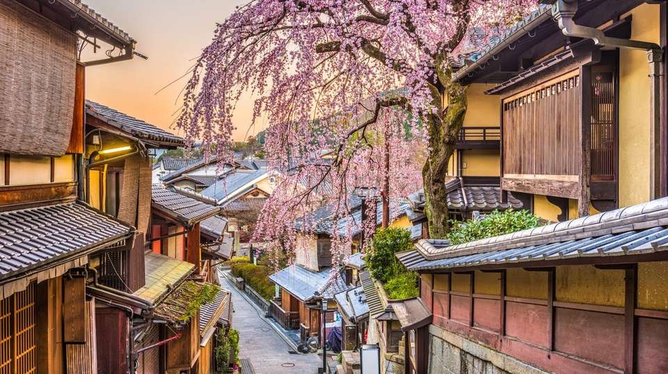 Japan Essentials – 9 Days - One Life Adventures Ltd - Japan - Image 16