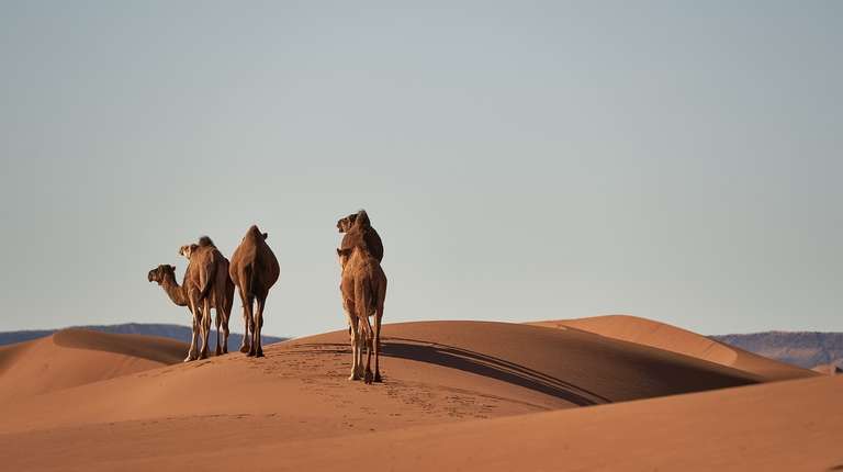 Morocco Tour in 11 Days trip - alternative tour available