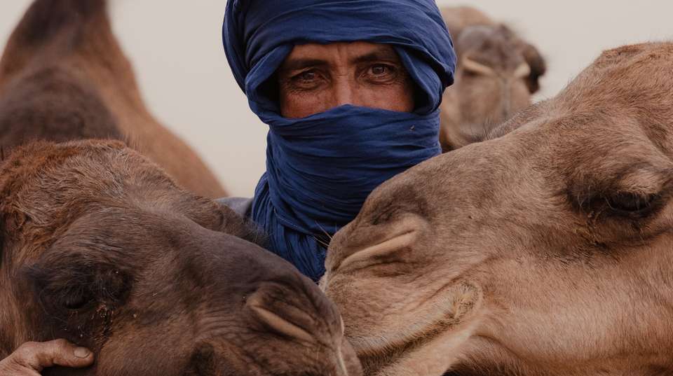 Morocco Tour in 11 Days - One Life Adventures Ltd - Morocco - Image 3