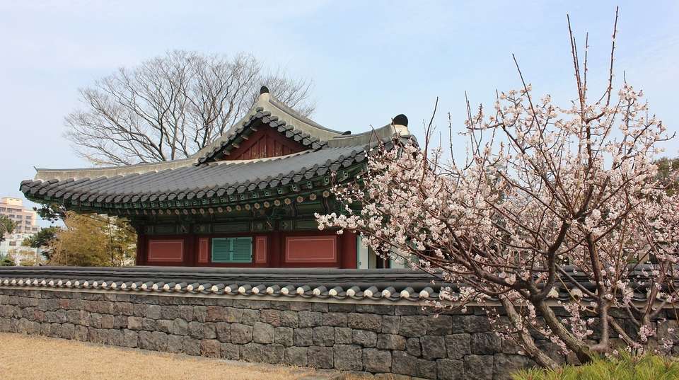 South Korea – 13 Days - undefined - Image 5