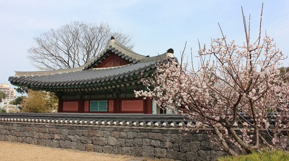 Image 5 of 12