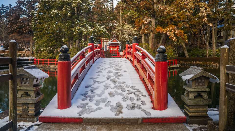 Japan in winter – 11 Days - undefined - Image 3
