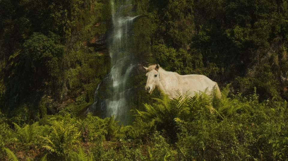 Mohare Danda Trek: Return via Poon Hill - Outshine Adventure Pvt Ltd - Nepal - Image 6