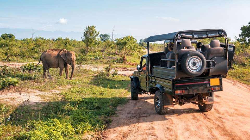 Wonders of Sri Lanka - undefined - Image 1