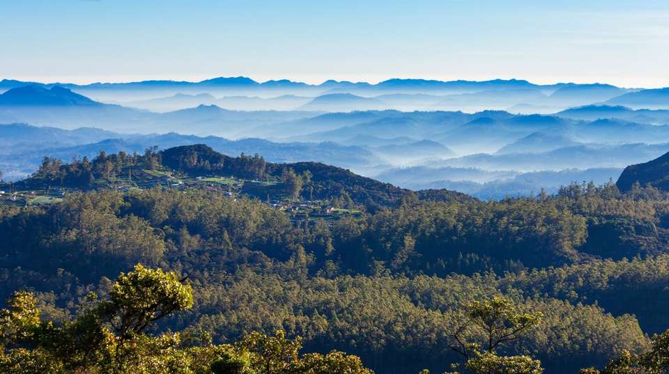 Splendors of Sri Lanka - Panoramic Tour & Travels - Sri Lanka - Image 4