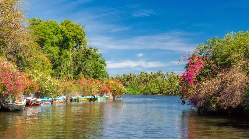 Wonders of Sri Lanka - undefined - Image 2