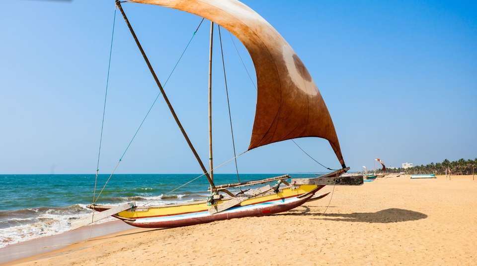 Splendors of Sri Lanka - Panoramic Tour & Travels - Sri Lanka - Image 8