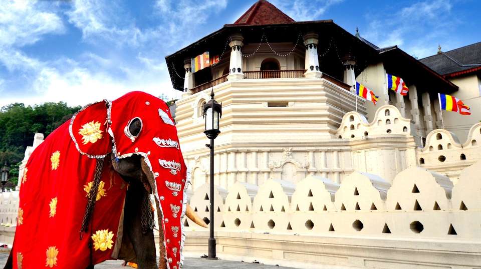 Splendors of Sri Lanka - Panoramic Tour & Travels - Sri Lanka - Image 3