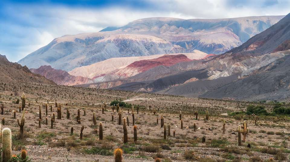 Best of Argentina and Chile Tour - People Travel And Experience - Argentina - Image 5