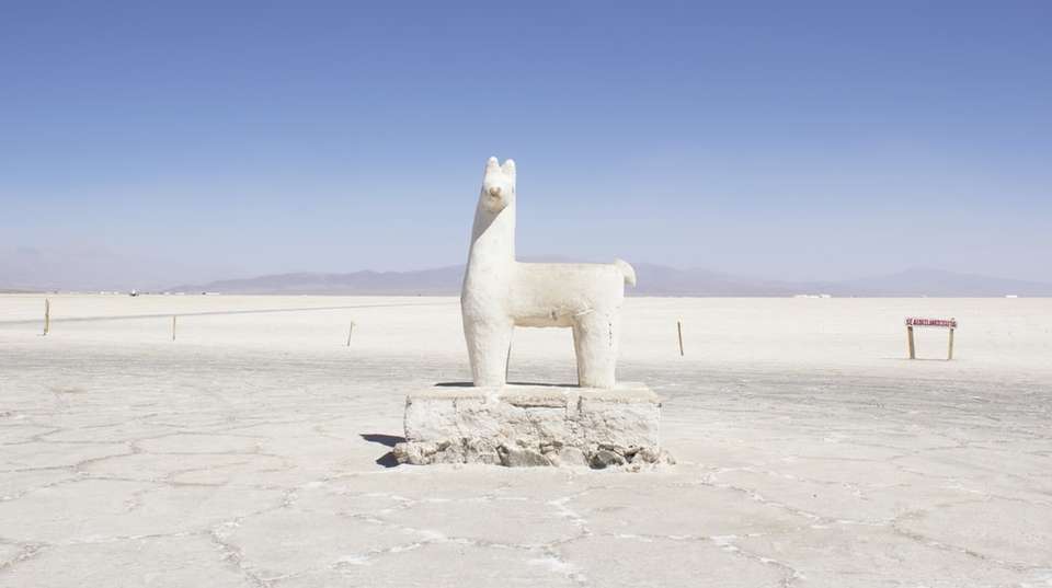 From Buenos Aires to Salta: Cities, Jungles & Mountains - People Travel And Experience - Argentina - Image 7