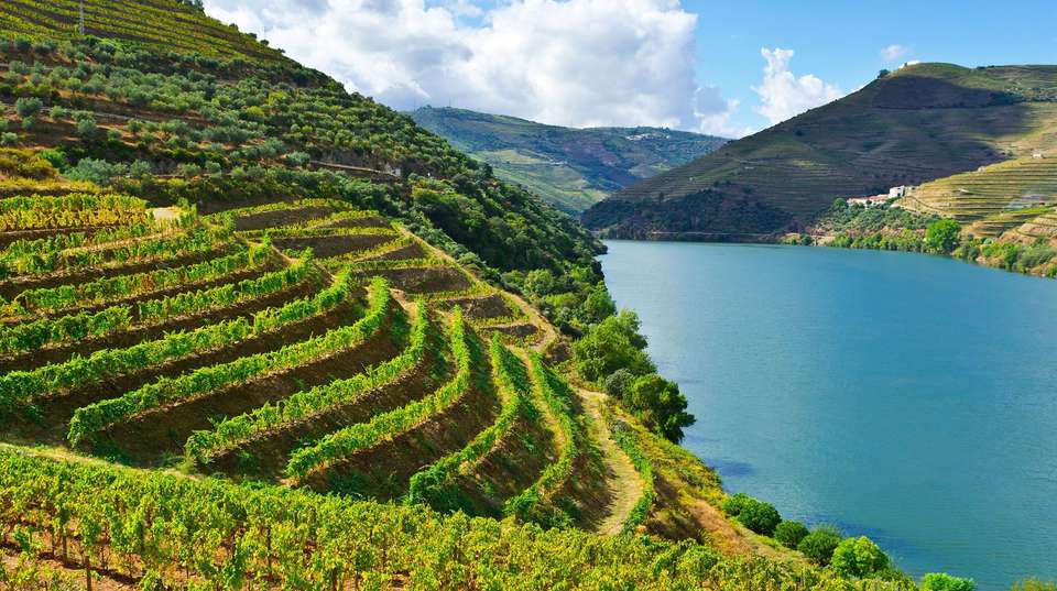 The Best of Porto with a Douro Valley Cruise - undefined - Image 3