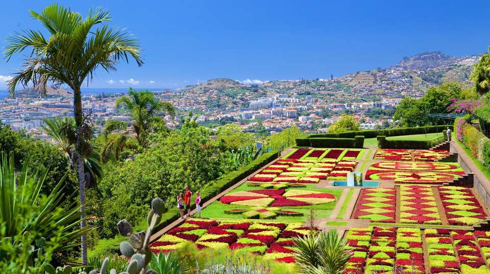 Best of Lisbon and Madeira in 9 days - undefined - Image 6