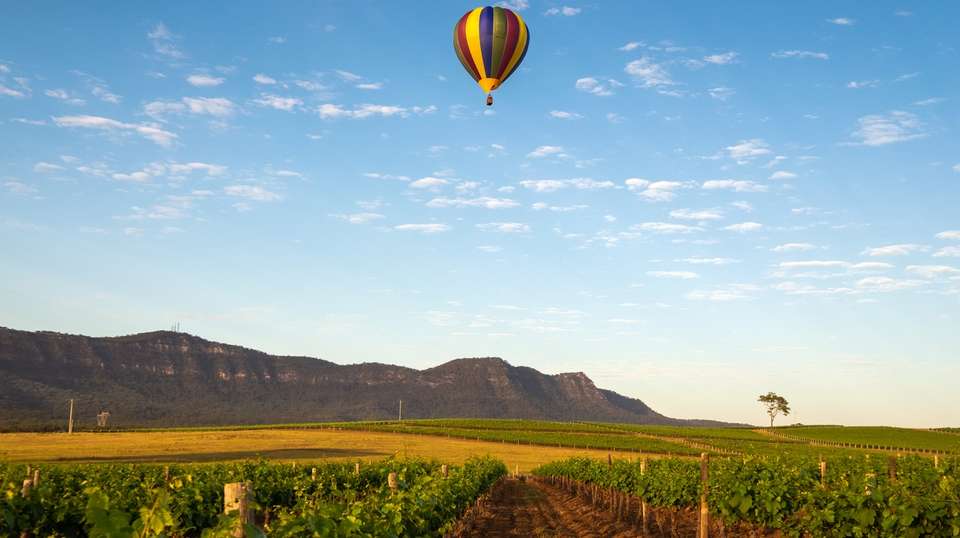 Sydney Vines, Coast & City - Real New Zealand Tours Limited - Australia