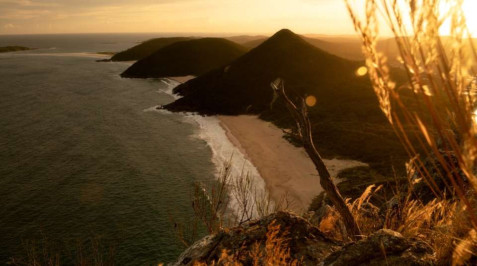 Sydney Vines, Coast & City - Real New Zealand Tours Limited - Australia