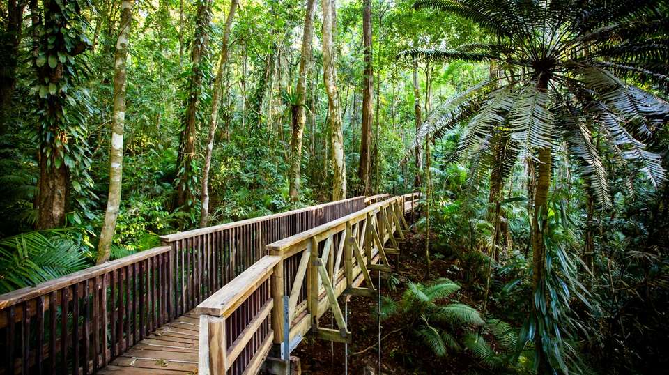 Epic Eastern Adventure Tour - Real New Zealand Tours Limited - Australia