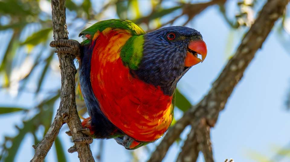 Tropical Reef and Rainforest Tour - undefined - Image 4
