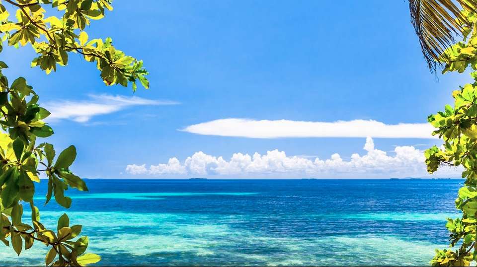 From Jungle to the Caribbean: Guatemala & Belize - undefined - Image 1