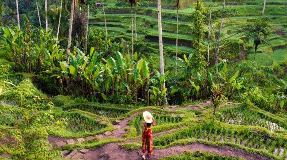 Heart of Bali - Full Day Private Guided Tour - The Seven Holiday - Indonesia - Image 5