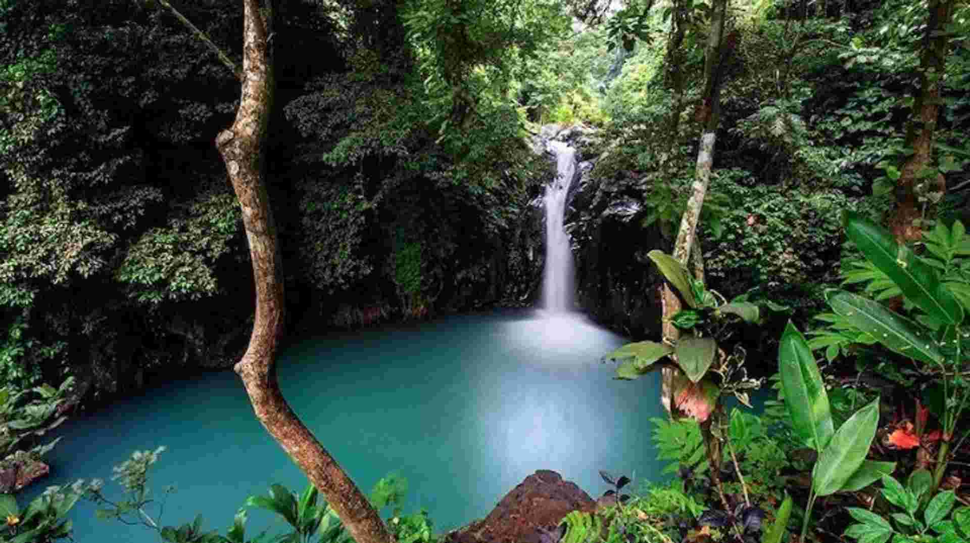 Incredible Waterfalls of Bali - Full Day Private Tour 