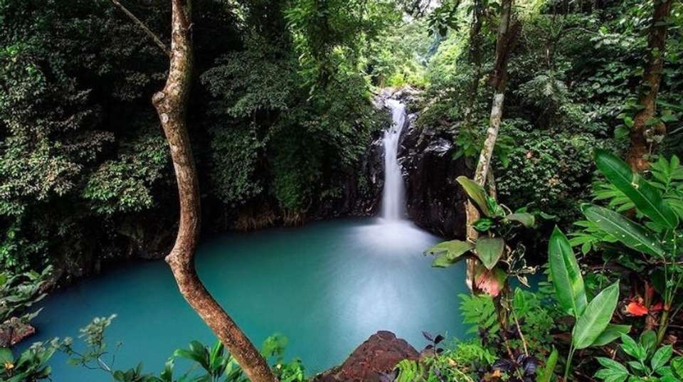 Incredible Waterfalls of Bali - Full Day Private Tour  - The Seven Holiday - Indonesia - Image 1