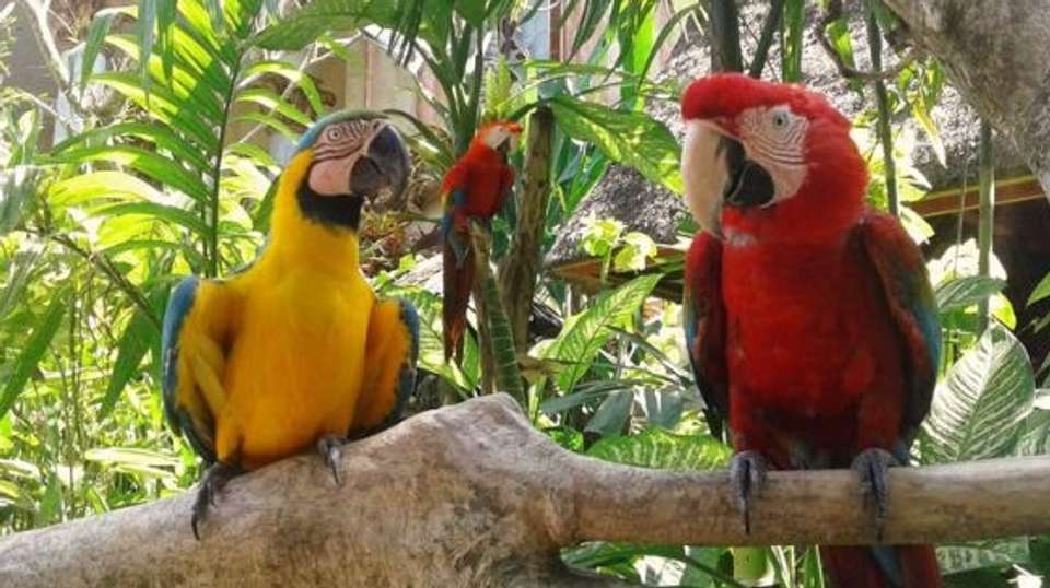 Heart of Bali - Full Day Private Guided Tour - The Seven Holiday - Indonesia - Image 9