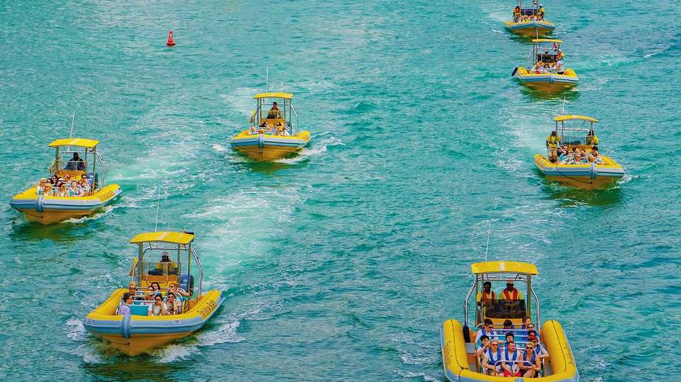 60 Min - Marina Cruise Sightseeing Dubai Tour - The Yellow Boats - UAE