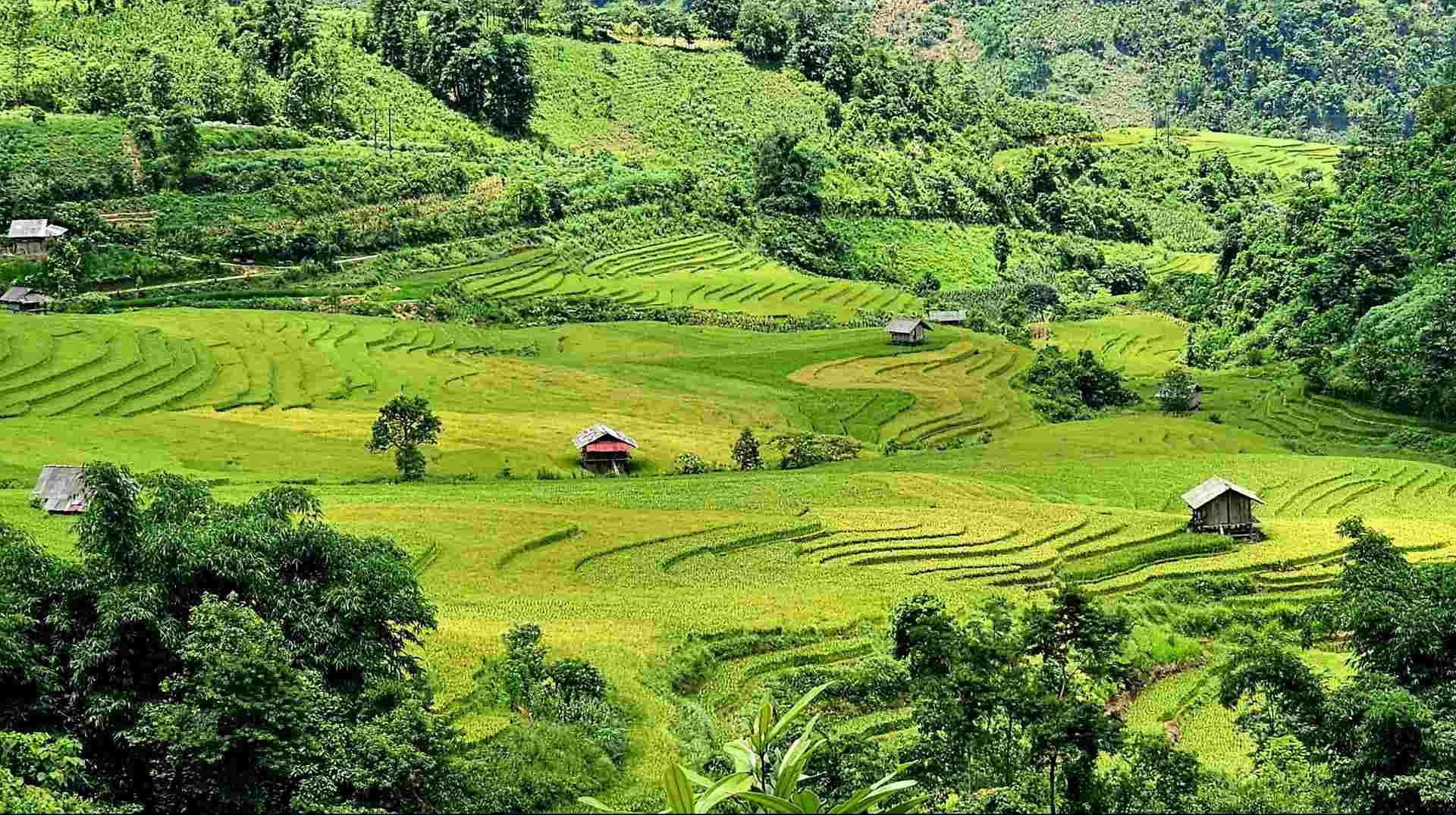 SAPA VILLAGE TREK AND TOPAS ECOLODGE RETREAT
